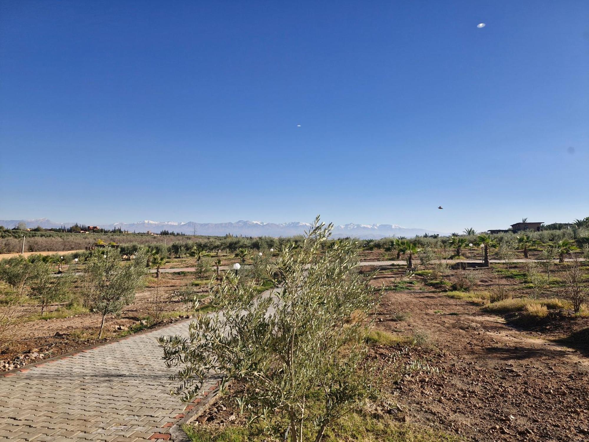 Le Parc Des Oliviers Hotel Hrabil Saâda Екстериор снимка