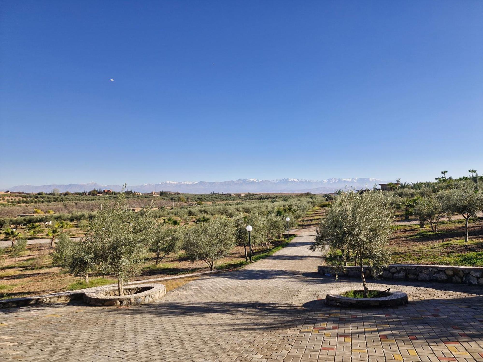 Le Parc Des Oliviers Hotel Hrabil Saâda Екстериор снимка