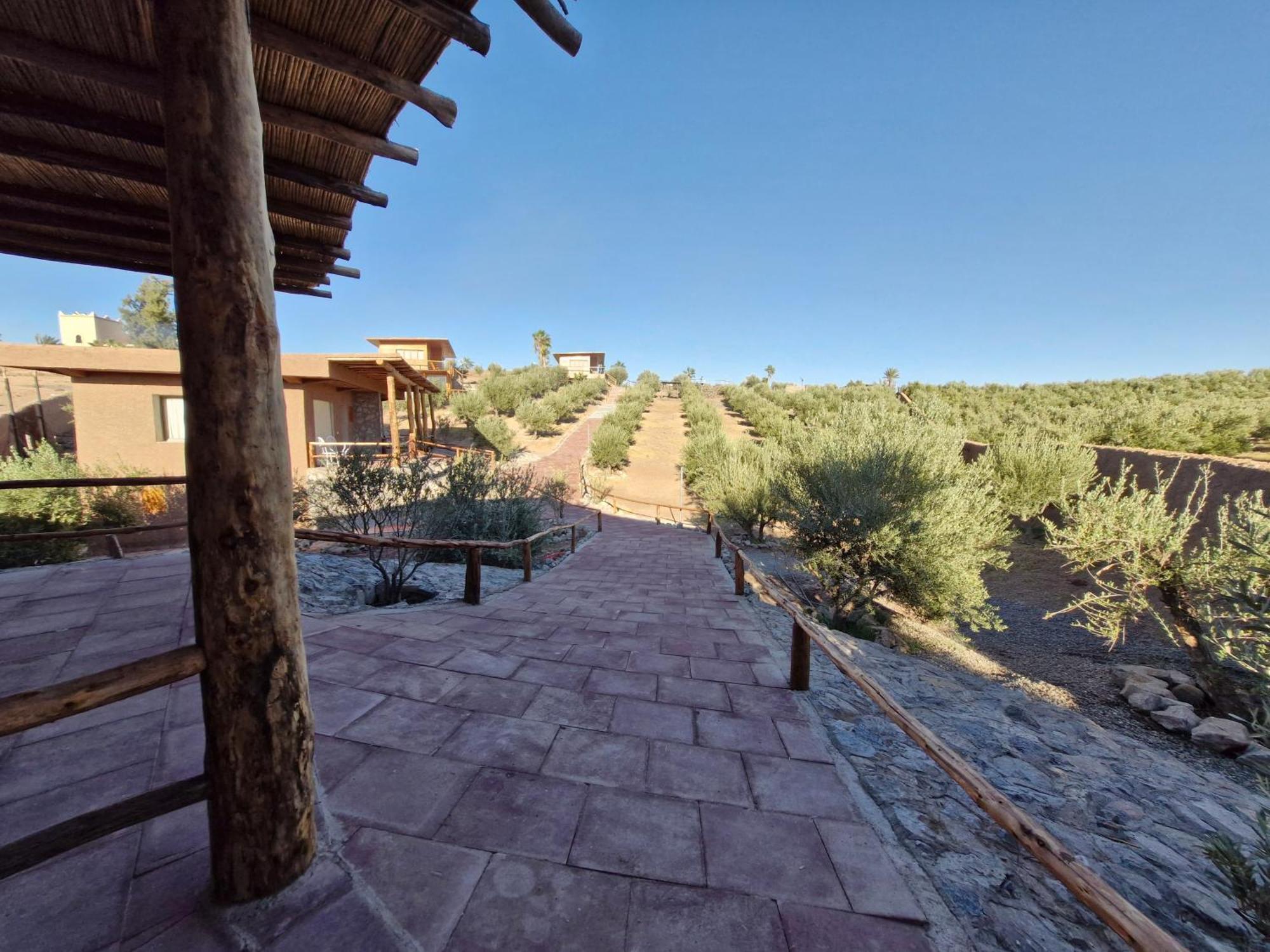 Le Parc Des Oliviers Hotel Hrabil Saâda Екстериор снимка